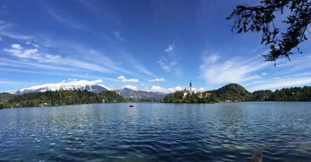Bled